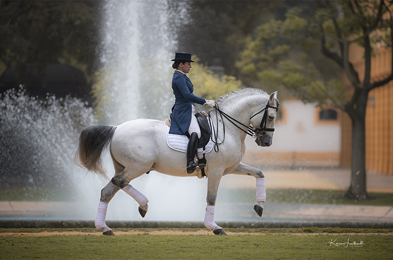 Jerez de la Frontera  & dressyruppvisning