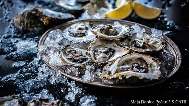 Peljesac – saltverk, musselodlingar och vingårdar