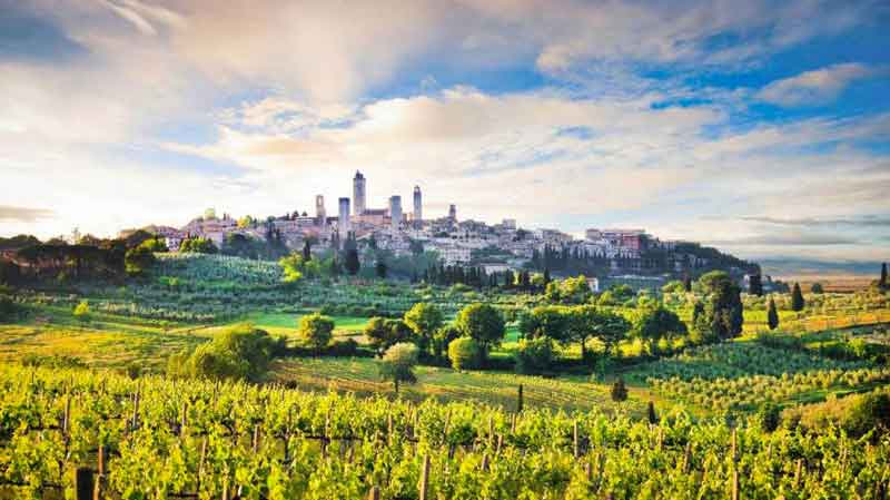 Konst & vin i Toscana
